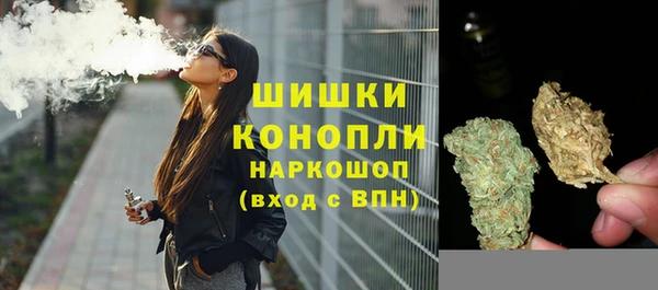 apvp Алзамай