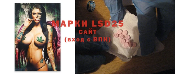 apvp Алзамай