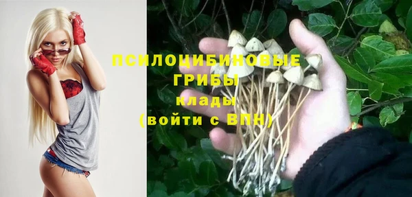 ешки Армянск